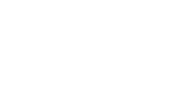 synex digital-aws