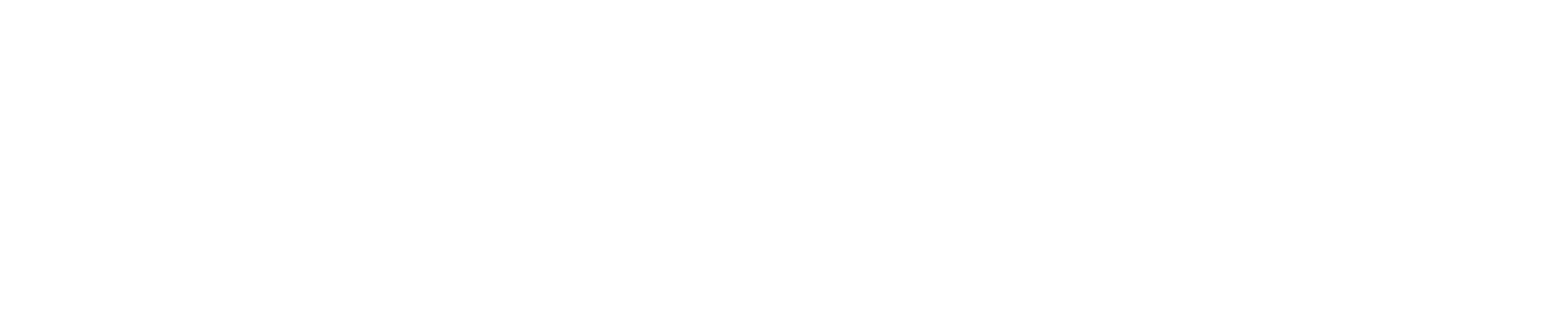 synex digital-meta